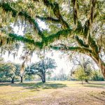 How SmartNews (almost) doubled app store conversion in 30 days