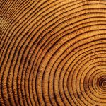 The three stages of the mobile marketing lifecycle