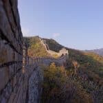 What do TikTok and Grindr have in common?