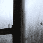 The digital advertising fear complex