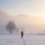 Surviving the mobile marketing winter