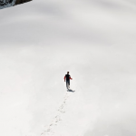 Surviving the mobile marketing winter: the Flight to Quality